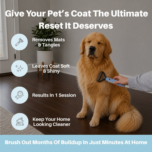 Parlour Time™ Premium Deshedding Brush