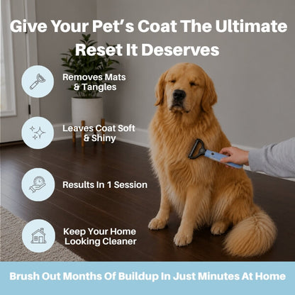 Parlour Time™ Premium Deshedding Brush