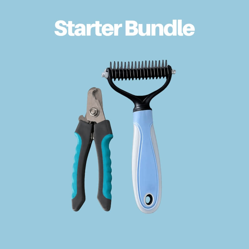 Parlour Time™ Starter Bundle