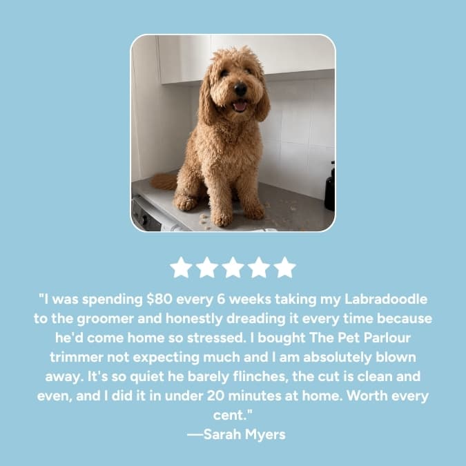 Parlour Time™ Premium 4-in-1 Grooming Kit